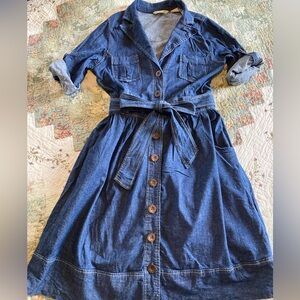 Stetson Denim Dress